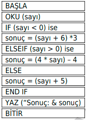 Yukarıdaki program, sayının sırasıyla 10, -5 ve 0 girilmesi durumlarında hangi sonuçları döndürür?